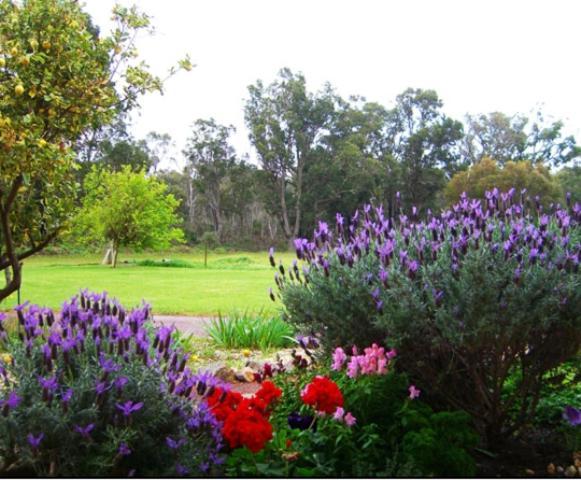 Erravilla Country Estate Spa Suite Accommodation Cowaramup Exteriör bild