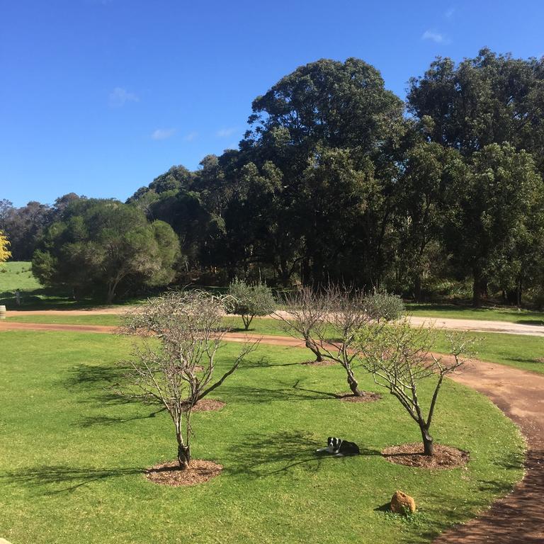 Erravilla Country Estate Spa Suite Accommodation Cowaramup Exteriör bild